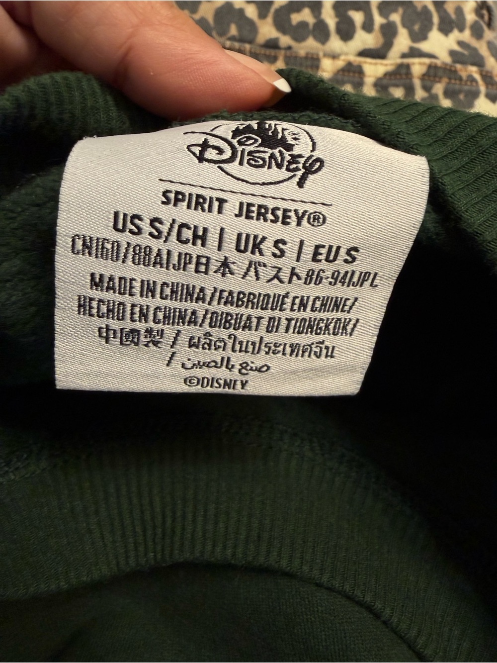 Disney World Spirit Jersey Velour Sweatshirt - Picture 8 of 8